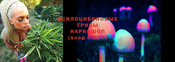 кокс Верея