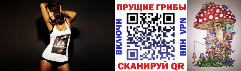 Псилоцибиновые грибы мицелий  Нижний Новгород 